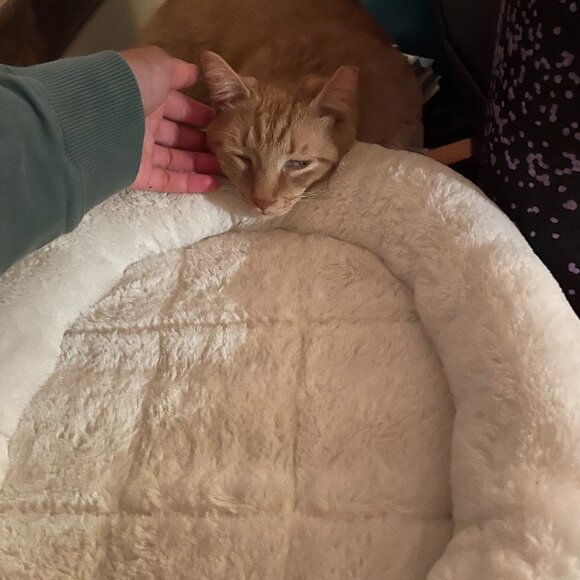 Meet your Posher - Alexis :-) - Picture 6 of 6